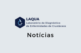 Equipe do Laboratório LAQUA realiza Curso de Formação de Auditor Interno da Qualidade na norma NBR ISO/IEC 17025:2017