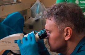 Prof. Thales Andrade do Laboratório LAQUA–UEMA participa de ações estratégicas de capacitação e pesquisa na Embrapa Amapá