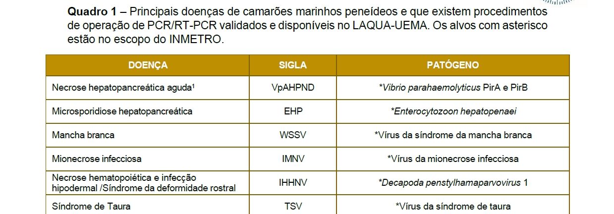 Quadro-COMPLETO-de-doencas-de-camaroes-marinhos-peixes-e-moluscos-2026_PT-e1768415828611